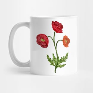 Popy Plant Botanical Mug